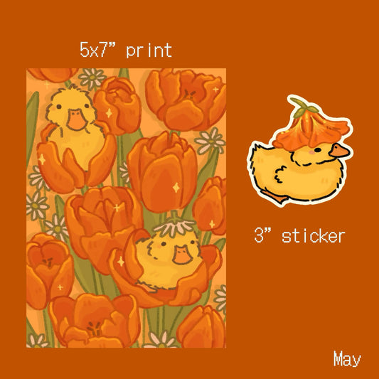 May 2026 - Ducklings and Tulips
